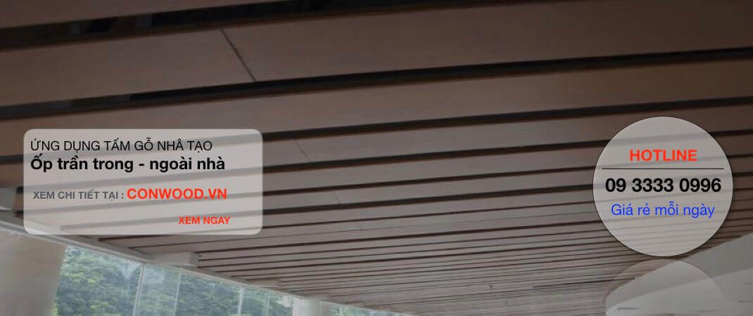 Ốp trần cho ngôi nhà bằng tấm SmartWood SCG